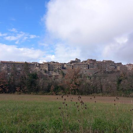 Casa Vacanza In Casale Vicino Orvieto Ficulle Bagian luar foto