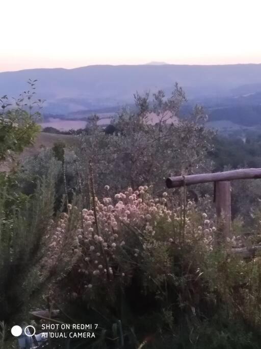 Casa Vacanza In Casale Vicino Orvieto Ficulle Bagian luar foto
