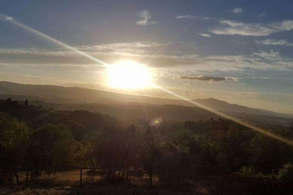 Casa Vacanza In Casale Vicino Orvieto Ficulle Bagian luar foto