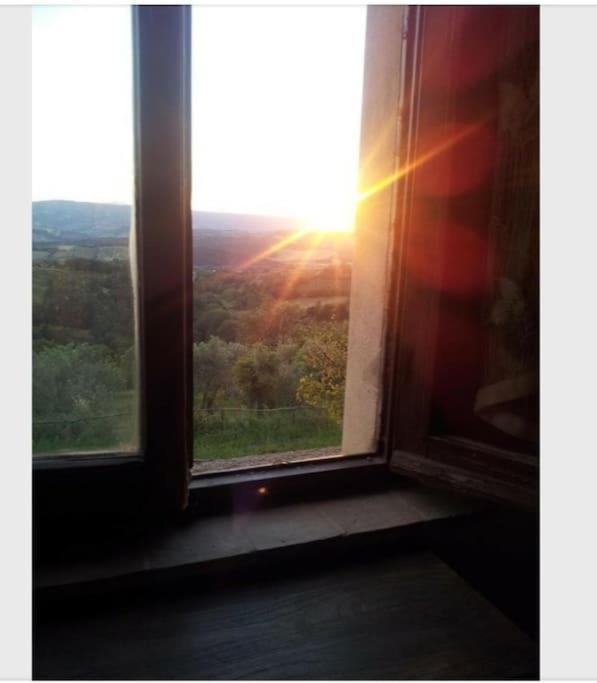 Casa Vacanza In Casale Vicino Orvieto Ficulle Bagian luar foto